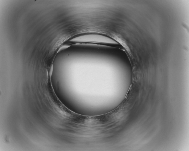 X0000096220109200802011351