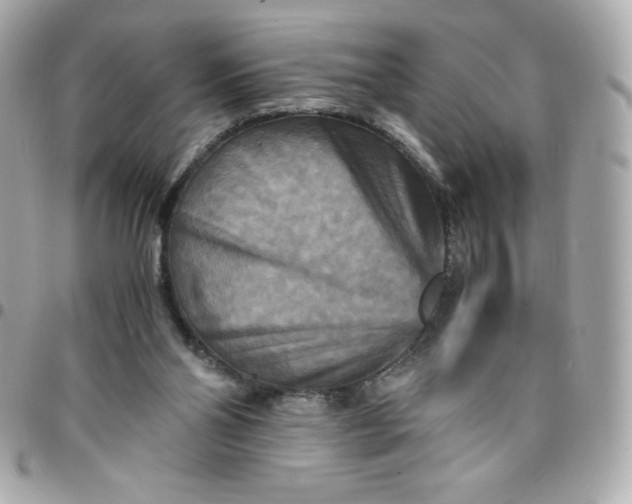 X0000096220110200802011351