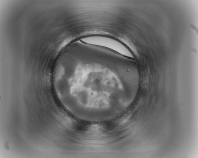 X0000096220111200802011351