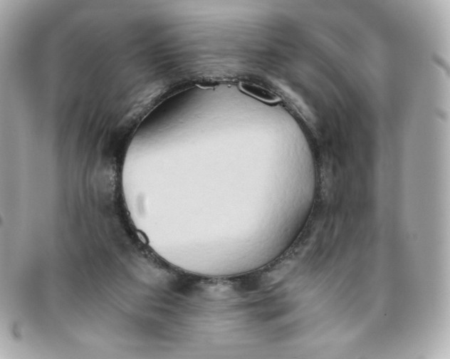 X0000096220113200802011351