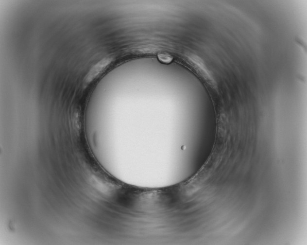 X0000096220116200802011351