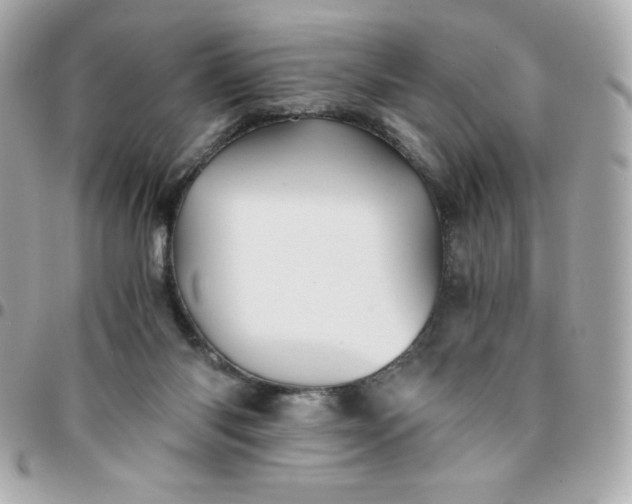 X0000096220118200802011351