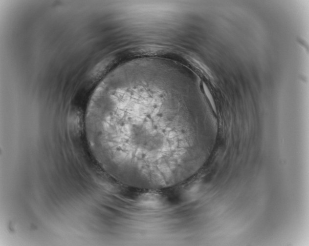 X0000096220119200802011351