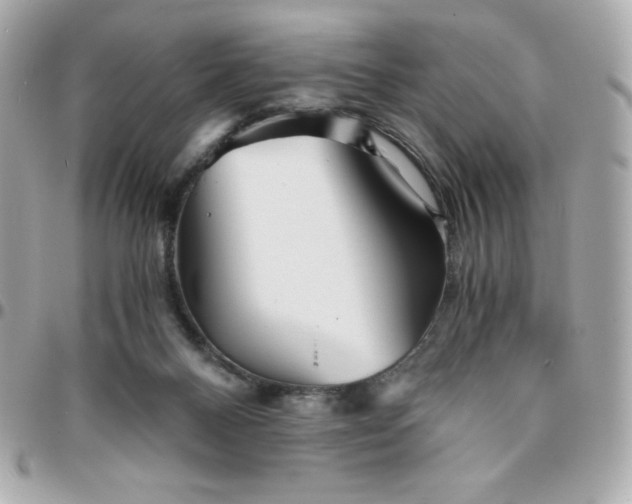 X0000096220120200802011351