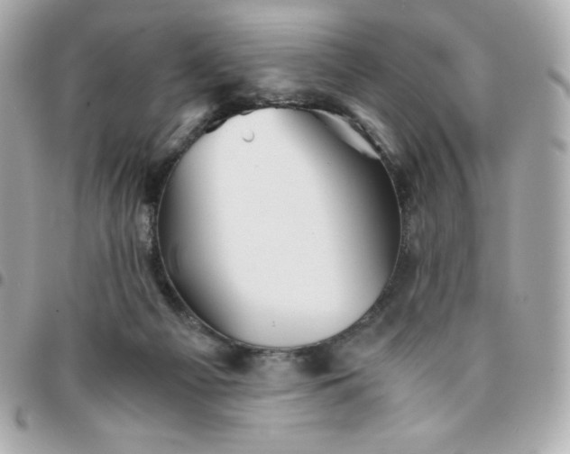 X0000096220121200802011351