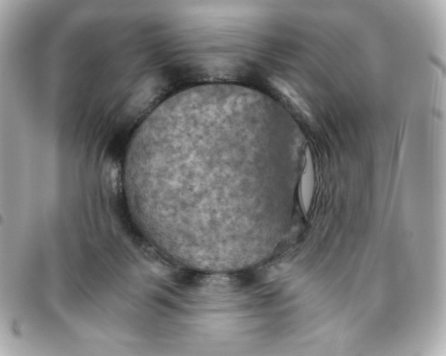 X0000096220123200802011351