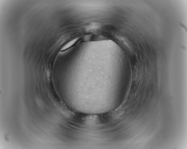 X0000096220124200802011351