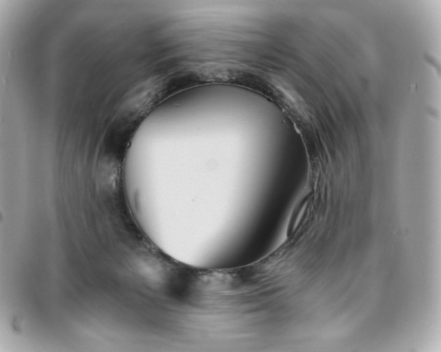 X0000096220125200802011351