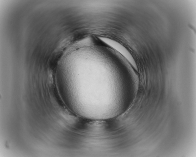 X0000096220128200802011351