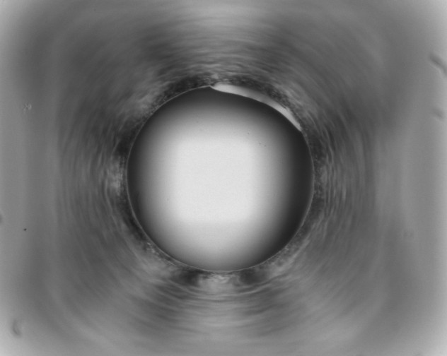 X0000096220129200802011351