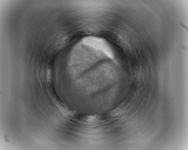 X0000096220130200802011351