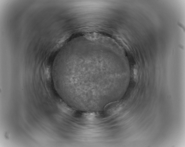 X0000096220131200802011351