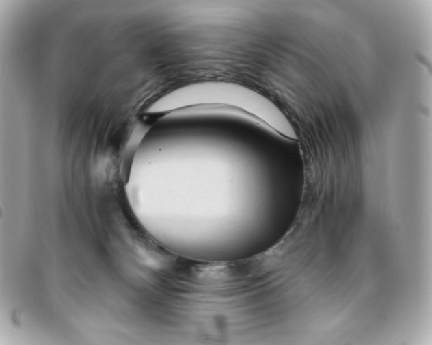 X0000096220132200802011351