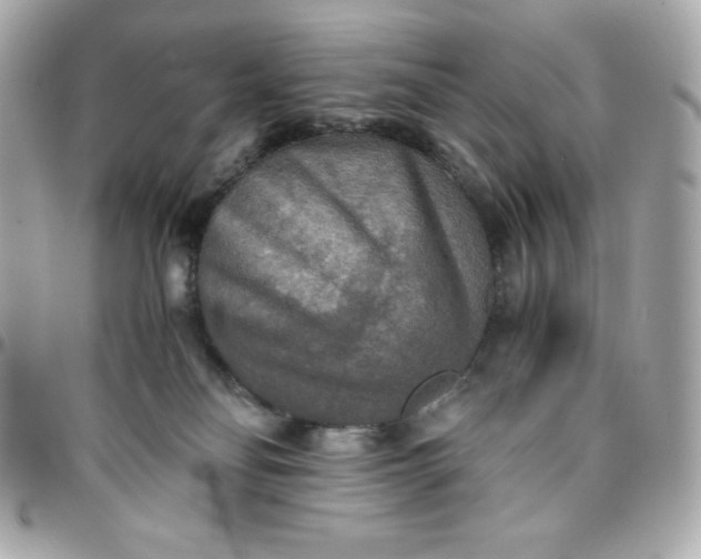 X0000096220134200802011351