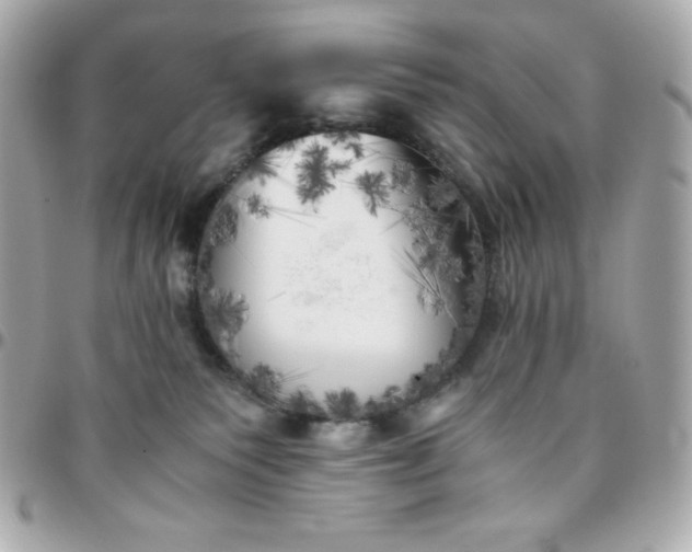 X0000096220135200802011351