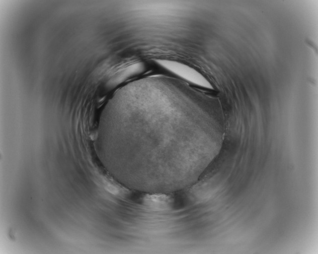 X0000096220137200802011351