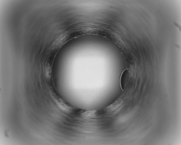 X0000096220138200802011351