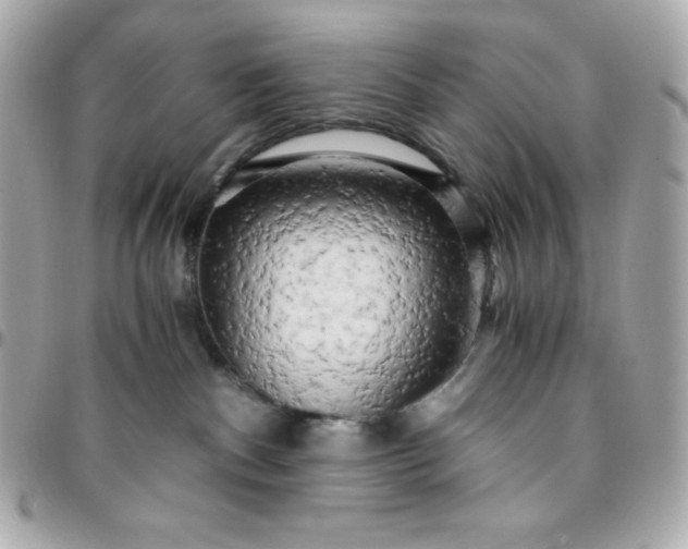 X0000096220140200802011351