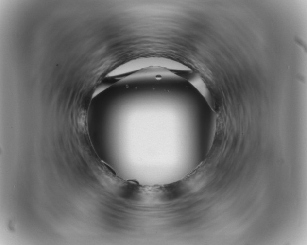 X0000096220141200802011351