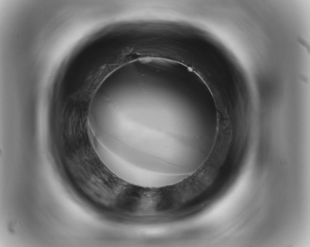 X0000096220143200802011351