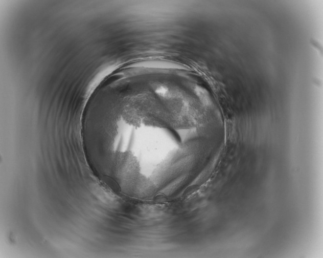 X0000096220147200802011350