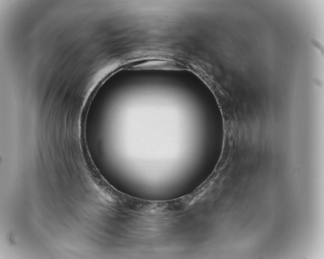 X0000096220148200802011350