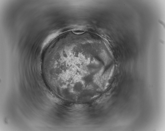 X0000096220149200802011350