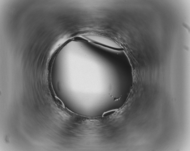 X0000096220150200802011350