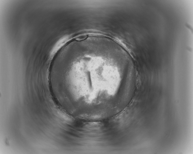 X0000096220151200802011350