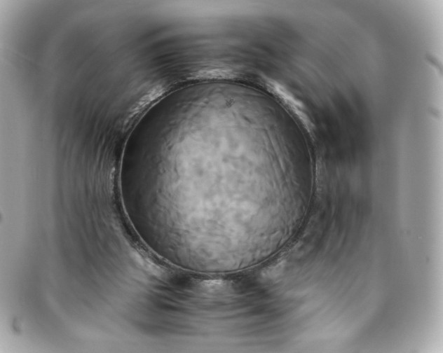 X0000096220153200802011350