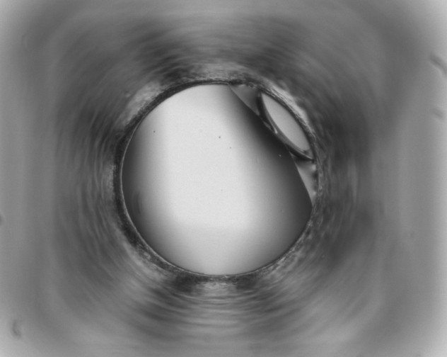 X0000096220154200802011350