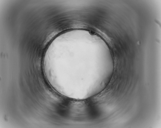 X0000096220155200802011350