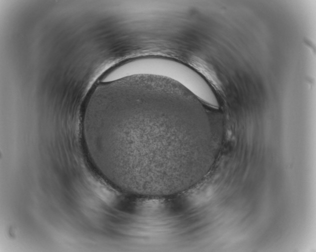 X0000096220156200802011350