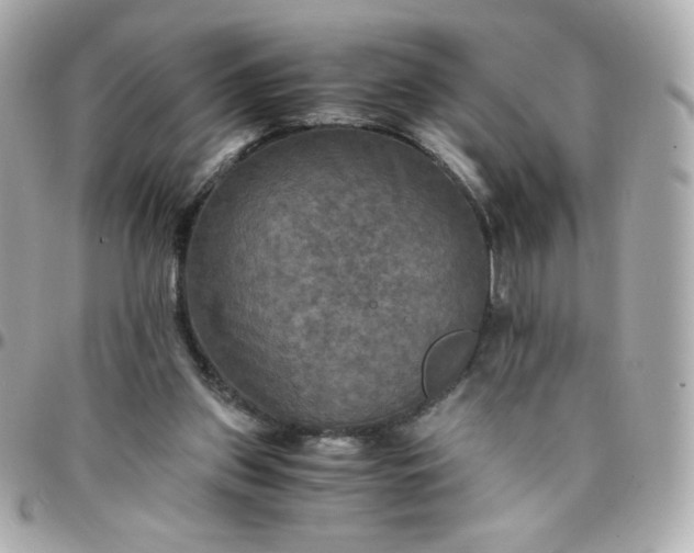 X0000096220157200802011350