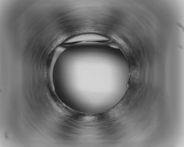 X0000096220158200802011350