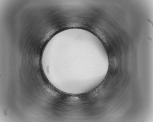 X0000096220159200802011350