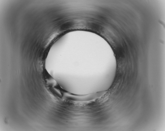 X0000096220160200802011351