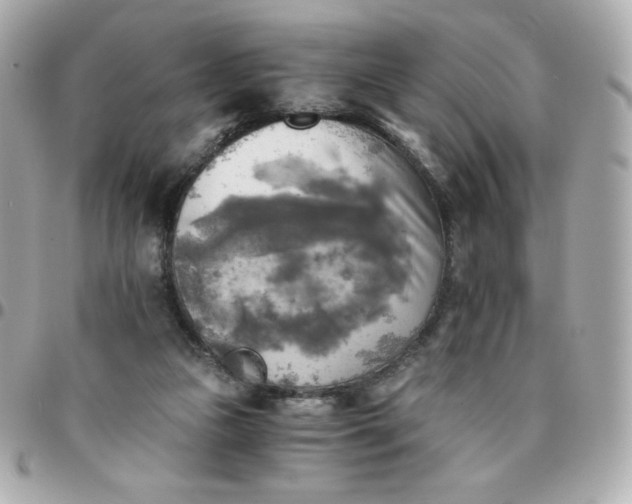 X0000096220161200802011351