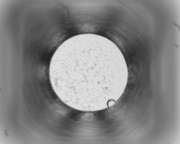 X0000096220162200802011351