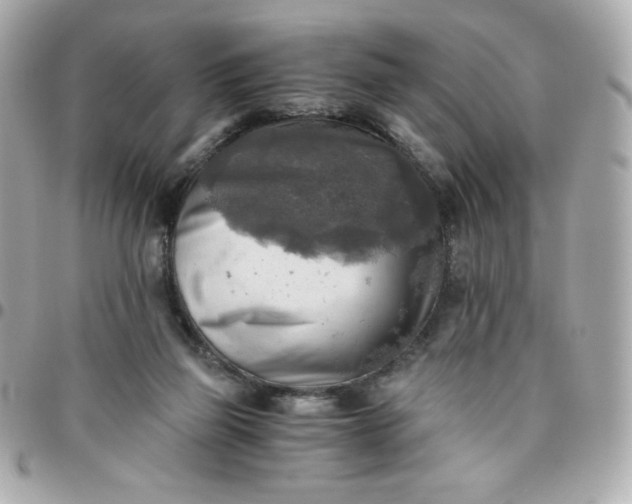 X0000096220165200802011351