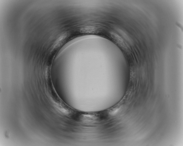 X0000096220167200802011351