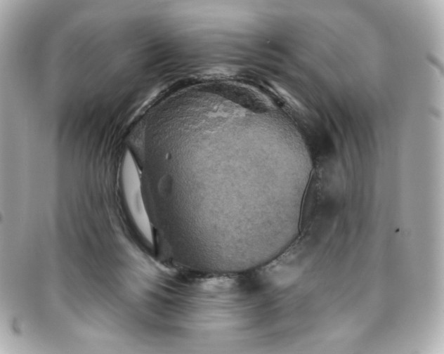 X0000096220168200802011351