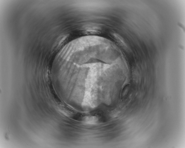 X0000096220169200802011351