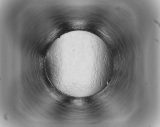 X0000096220171200802011351