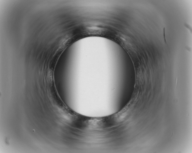 X0000096220172200802011351