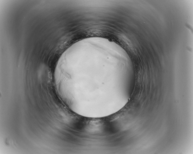 X0000096220173200802011351