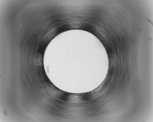 X0000096220174200802011351