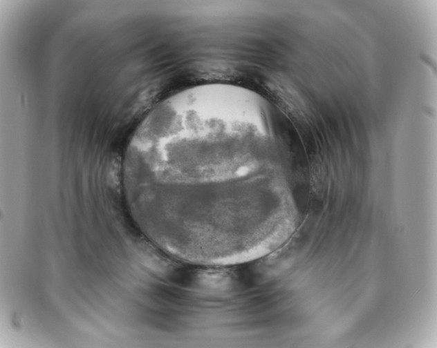 X0000096220175200802011351