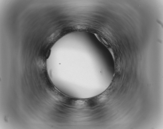 X0000096220176200802011351