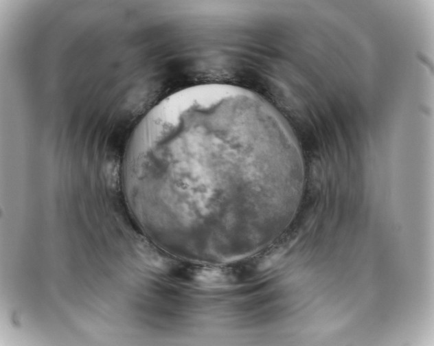 X0000096220177200802011351